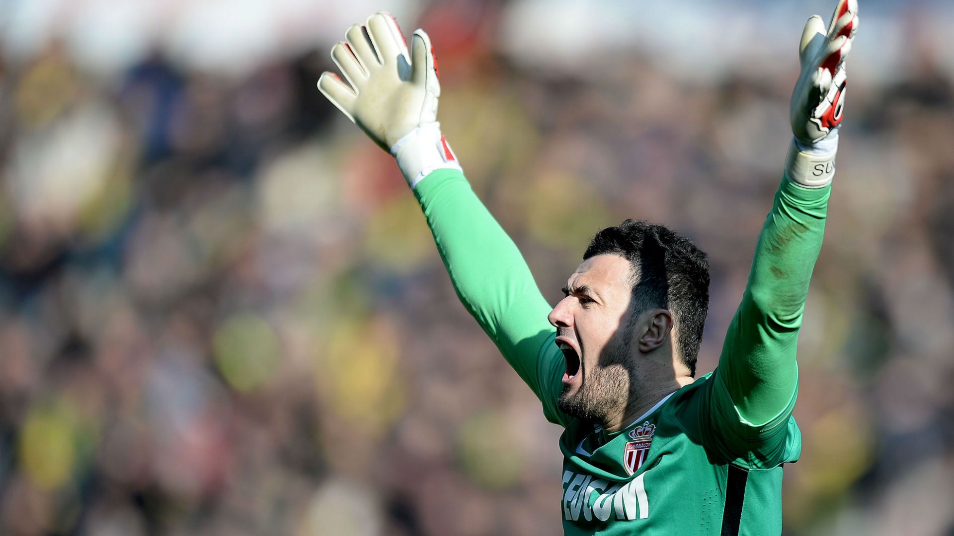 danijel subasic - monaco 2016