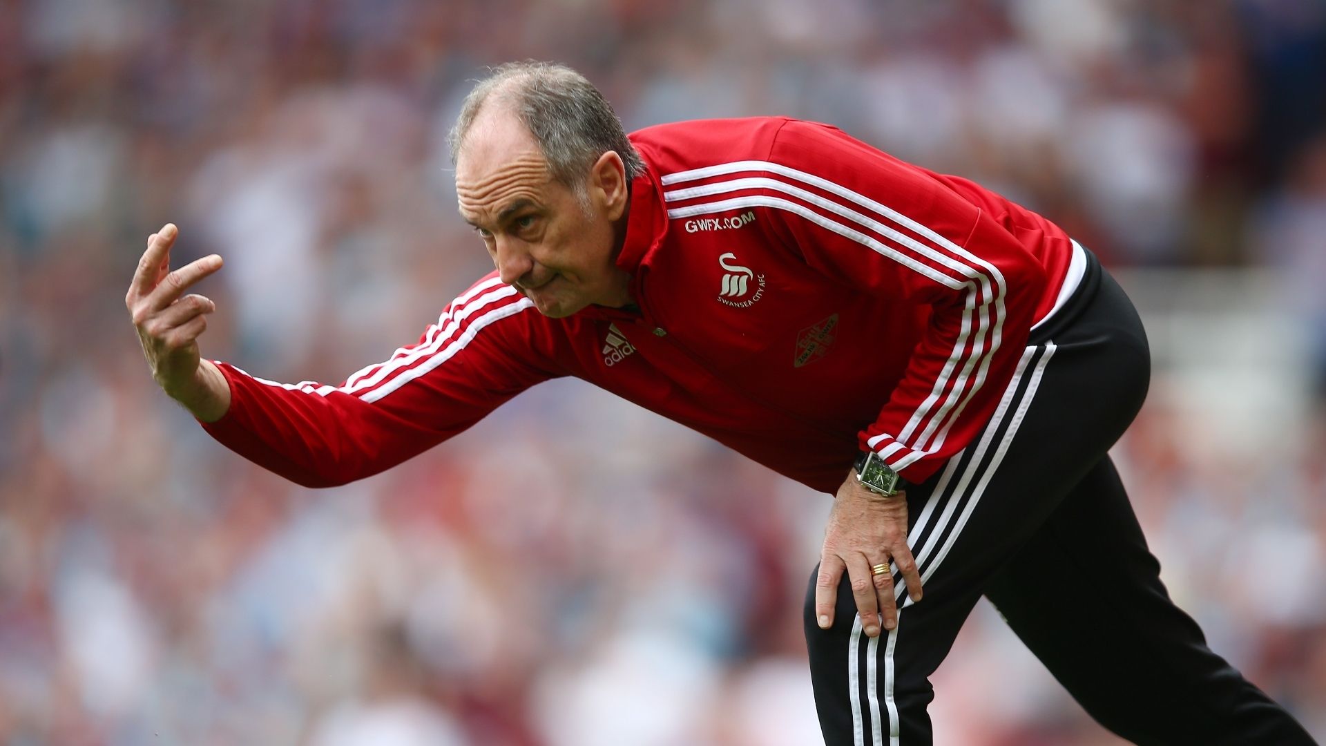 Francesco Guidolin, Swansea