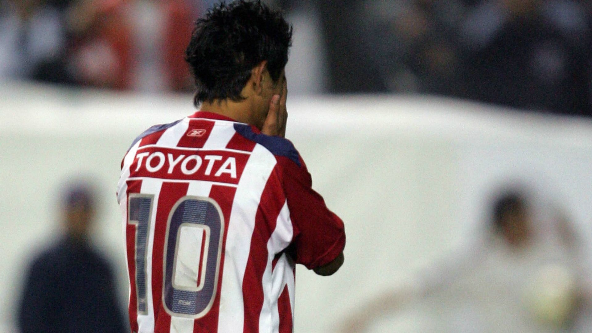 Venado Medina Chivas