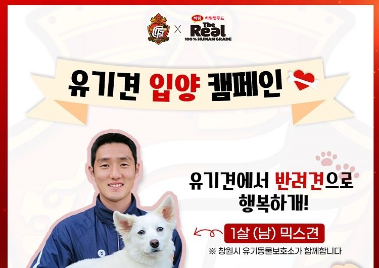 경남 유기견 입양 활성화 캠페인