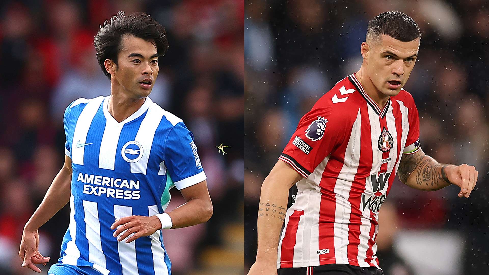 PL-brighton-sunderland-20251221