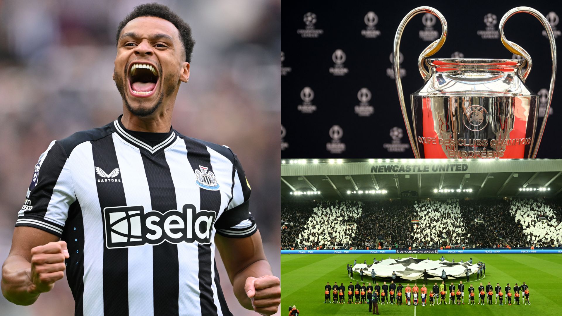 Newcastle Champions League 2023-24 Jacob Murphy