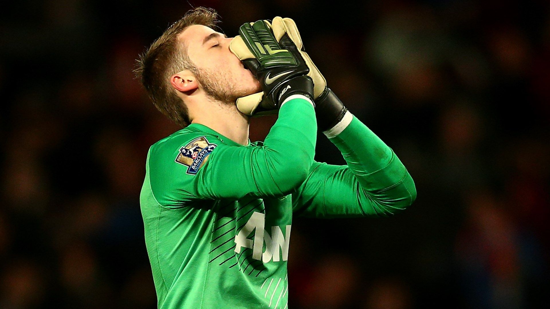 De-Gea-Man-Utd-Sunderland-2014