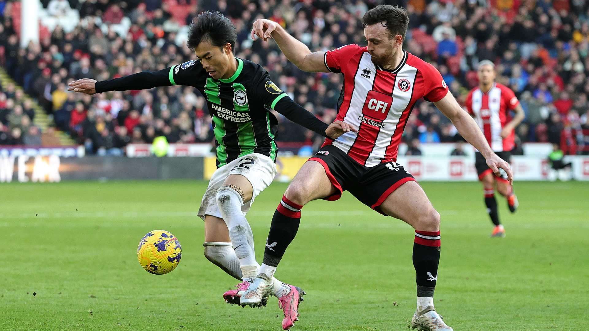 20240218 Kaoru Mitoma