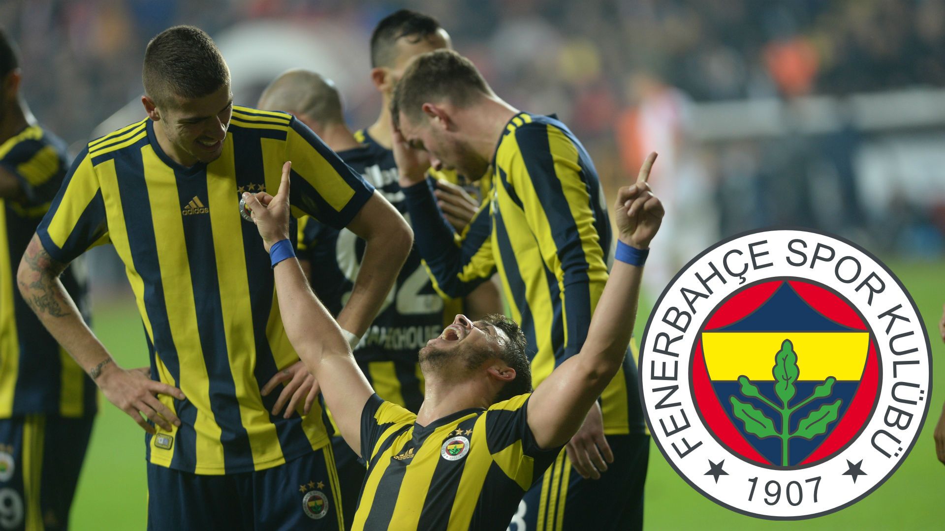Fenerbahce Logolu sevinc