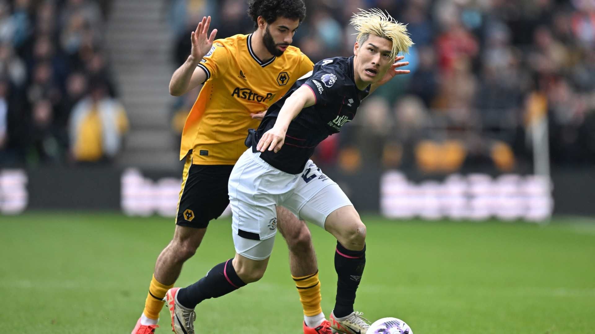 20240429 Daiki Hashioka