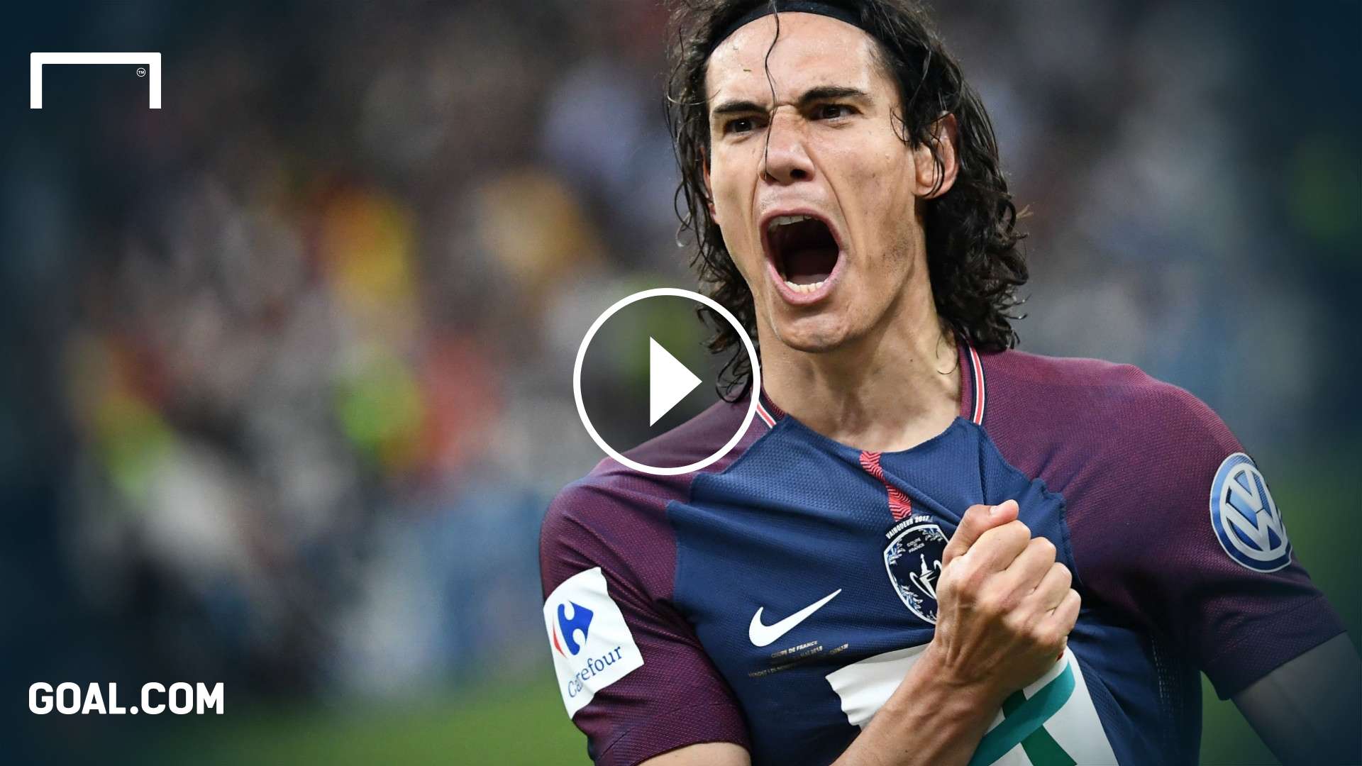 GFX INFO CAVANI GERMAN