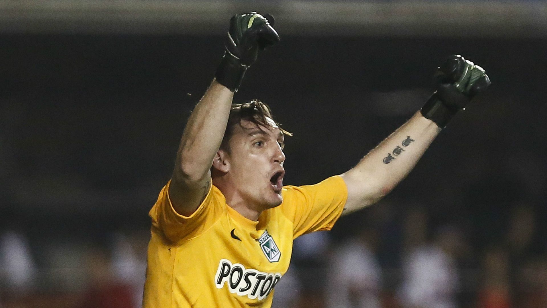 Franco Armani