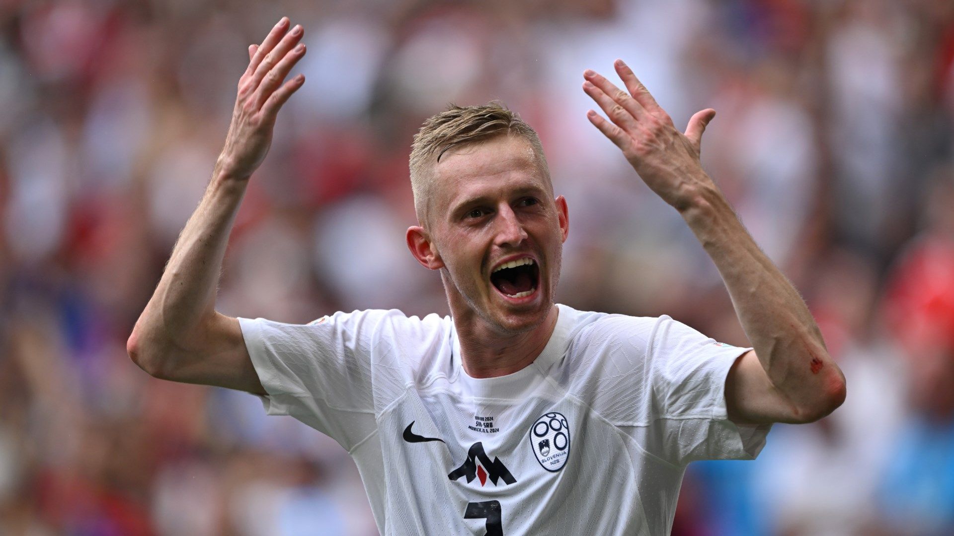 Zan Karnicnik celebrating scoring for Slovenia against Serbia at Euro 2024