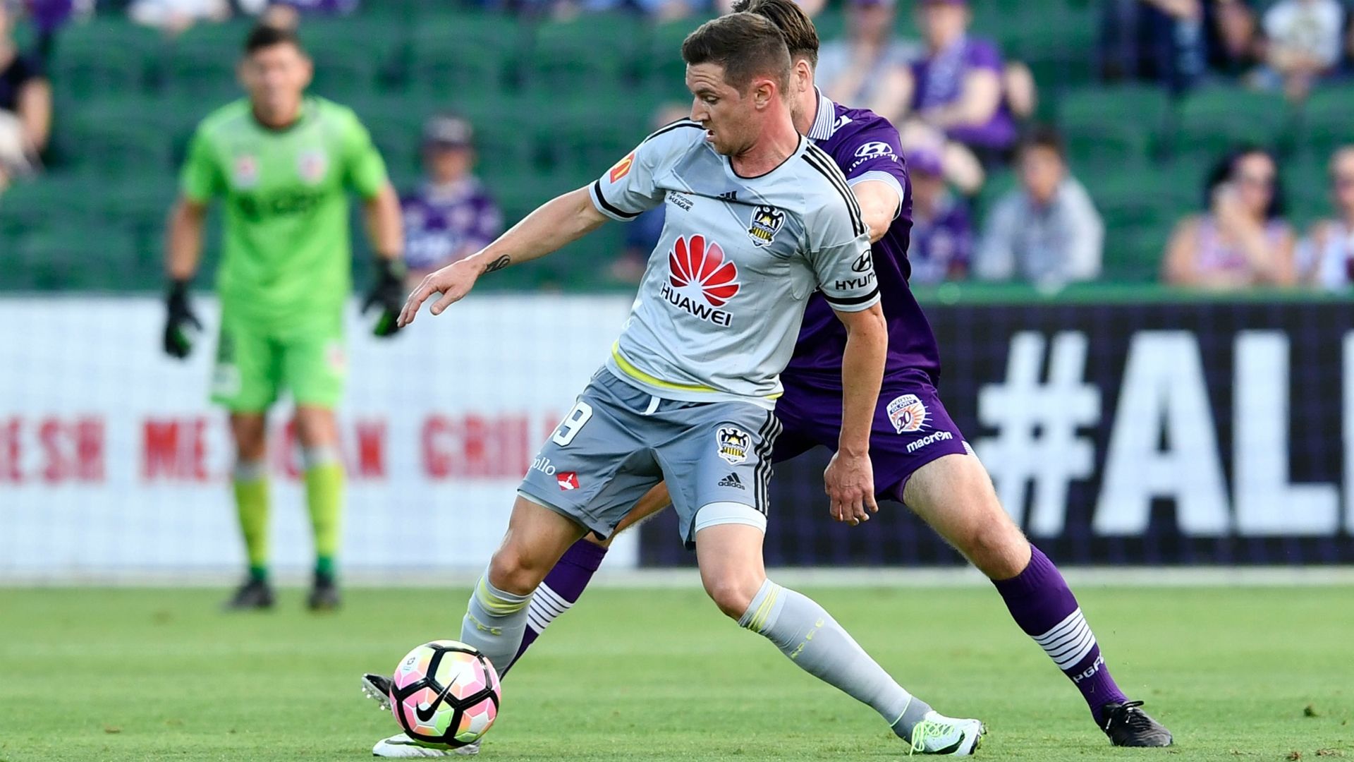 Shane Smeltz Wellington Phoenix