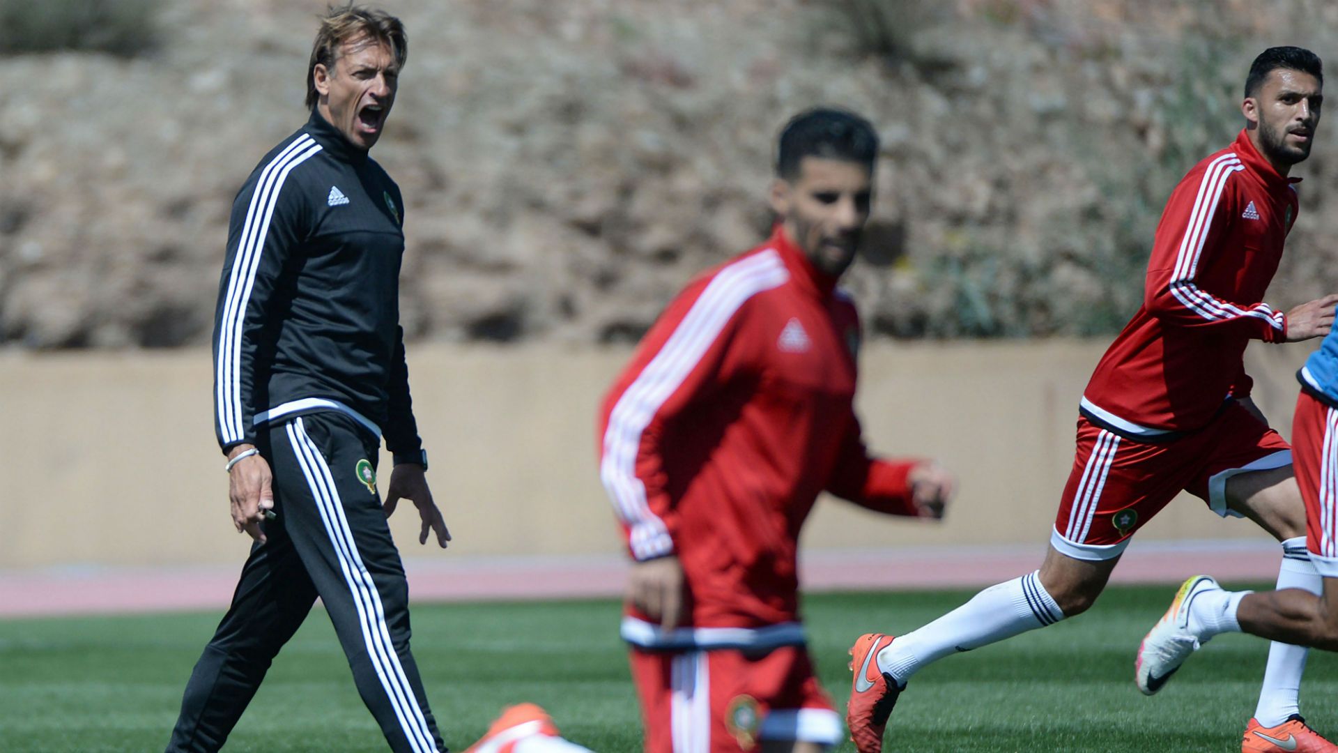 Herve Renard Morocco