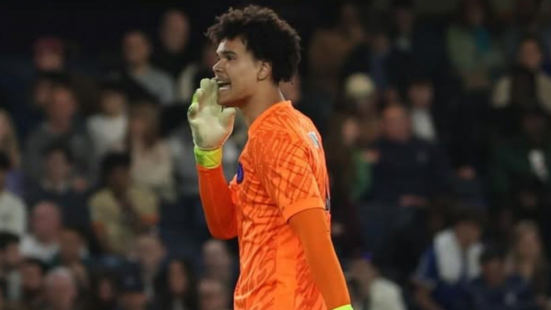 Luke Campbell Chelsea