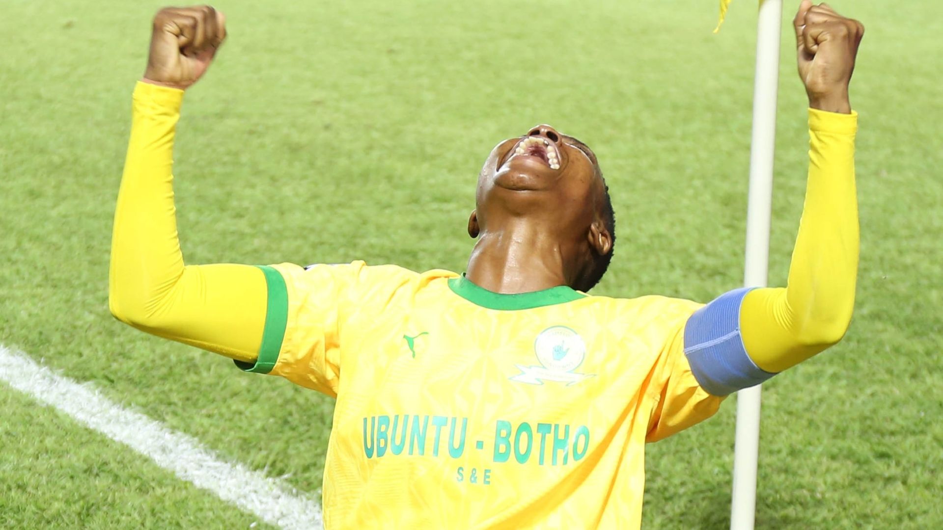 Zanele Nhlapho, Mamelodi Sundowns