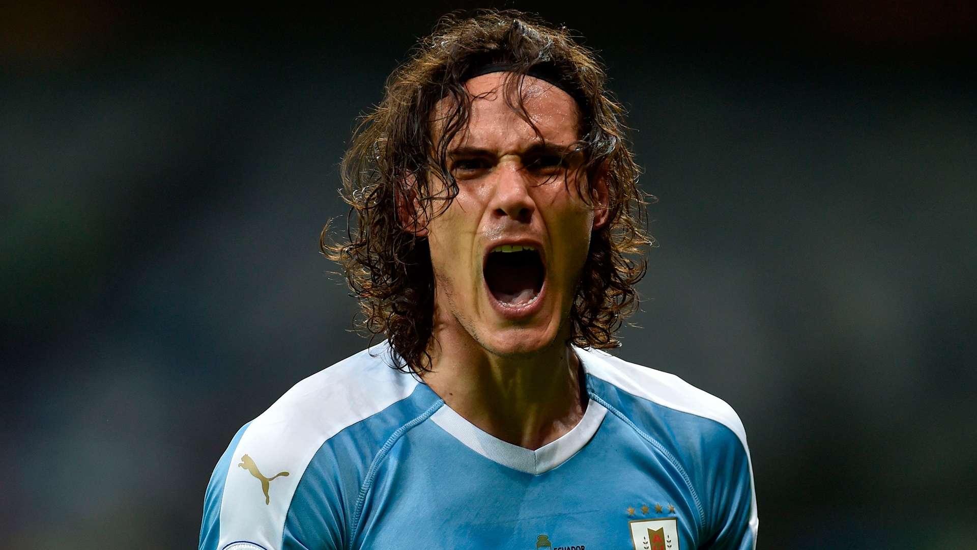 cavani