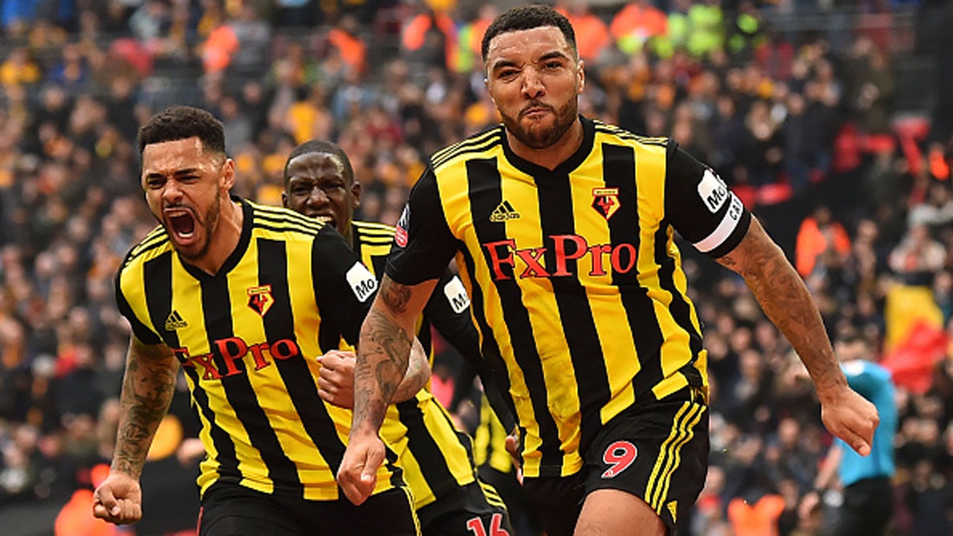 Troy Deeney Watford Wolverhampton FA Cup