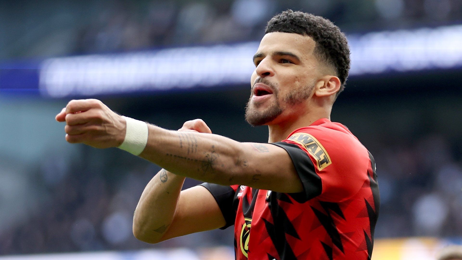 Dominic Solanke Bournemouth 2022-23