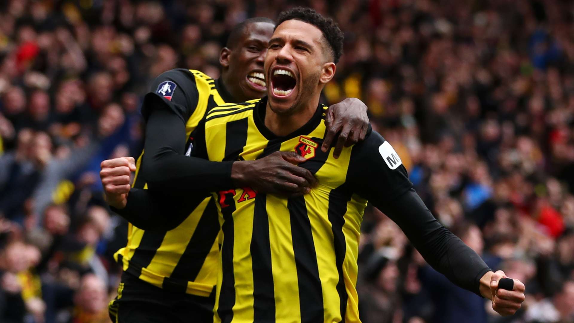 Etienne Capoue Watford FA Cup