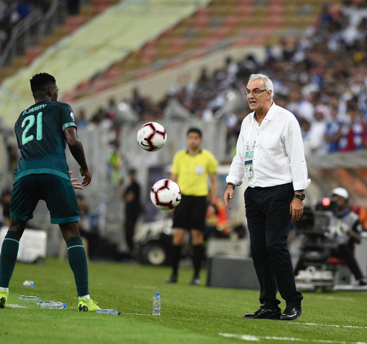 الأهلي - الهلال