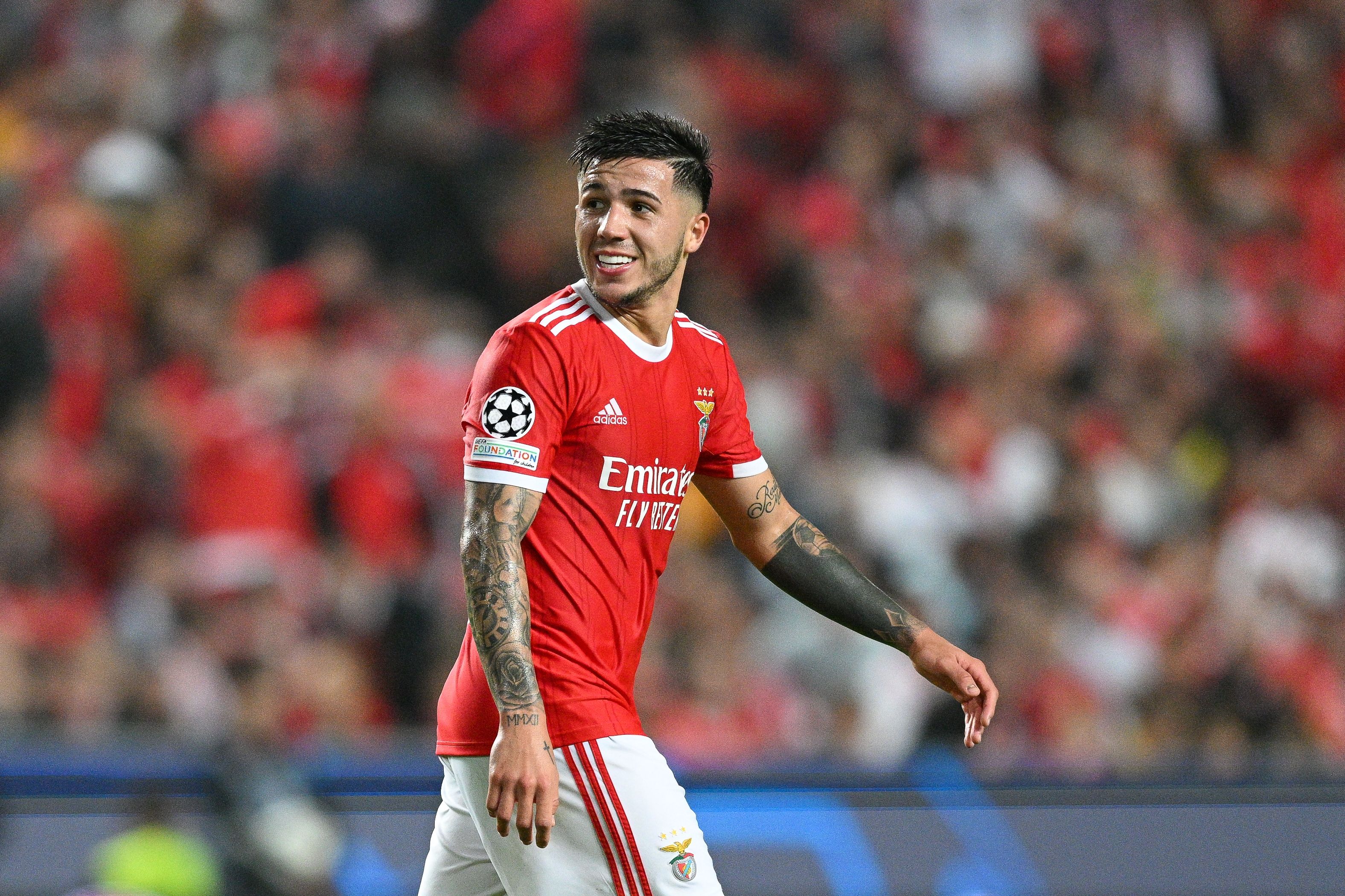 Enzo Fernandez Benfica 2022-23