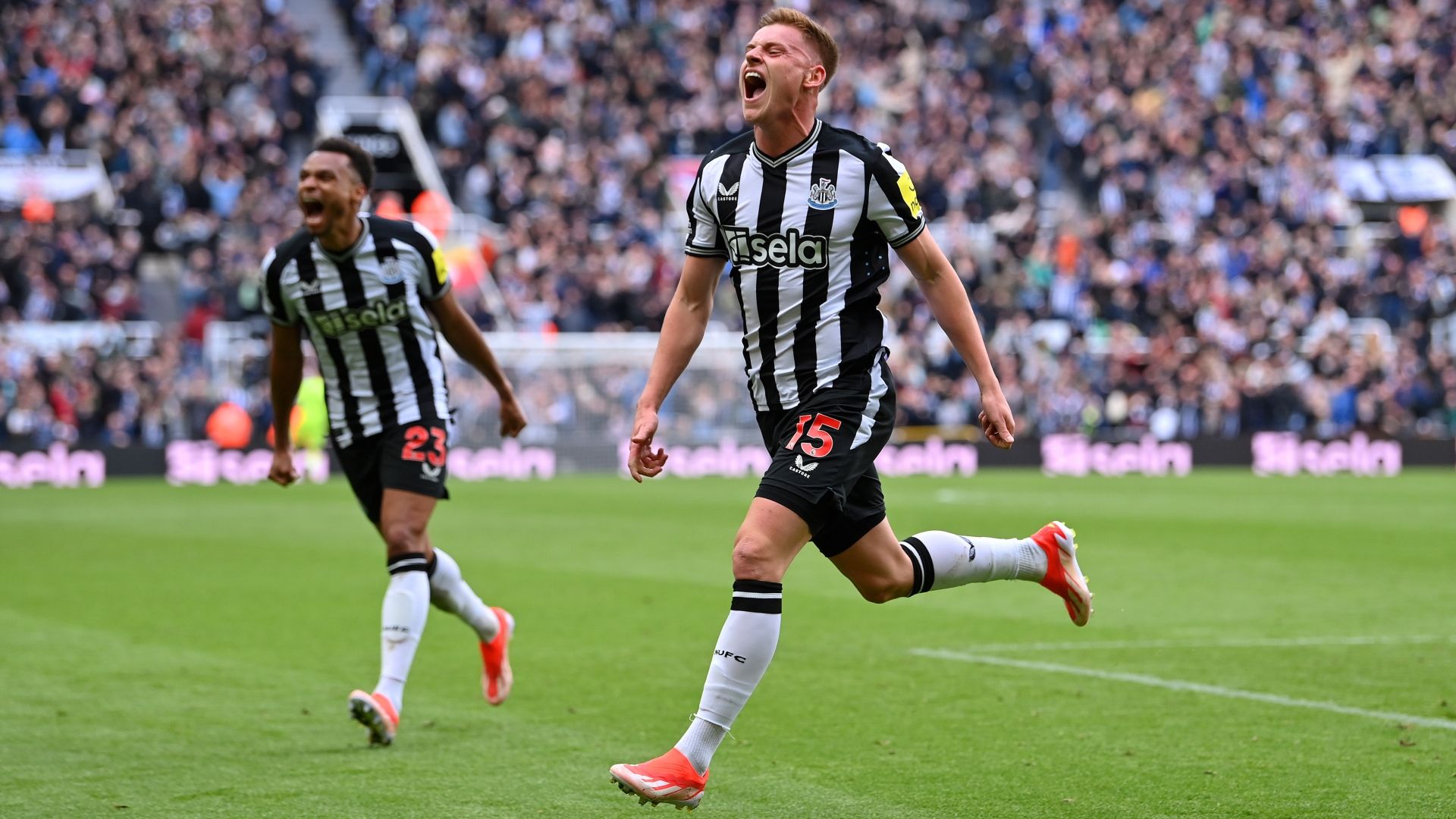 Newcastle united v brighton on tv sale