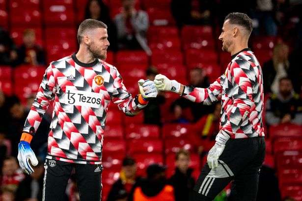 David de Gea Dubravka