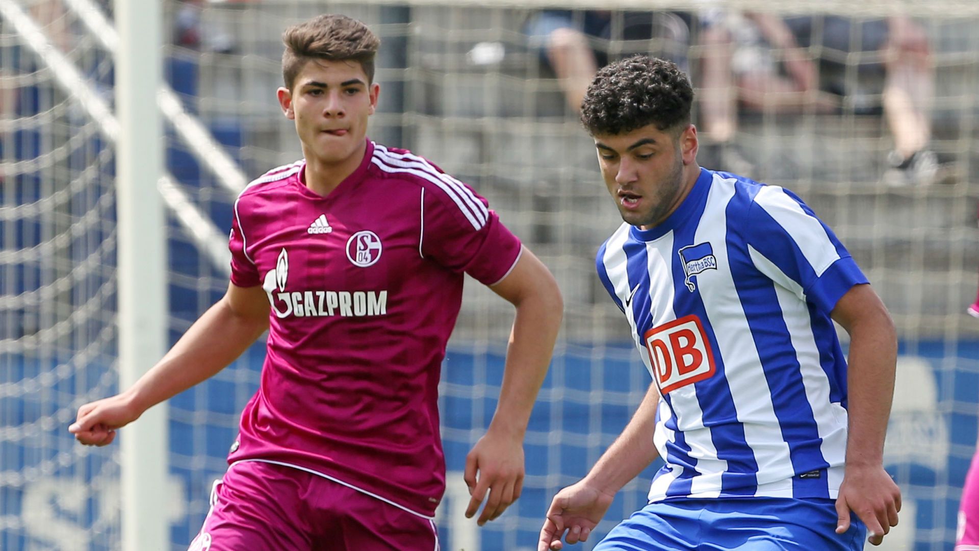 Schalke U17 2013 Tomasello