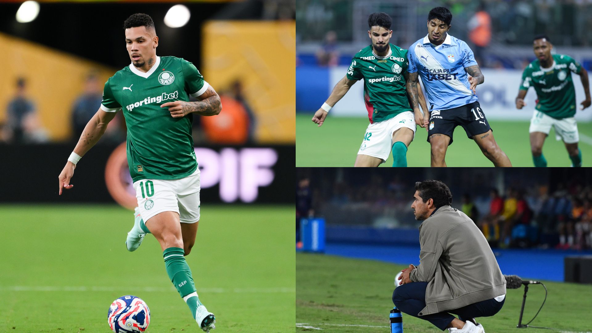 Paulinho Palmeiras 2026