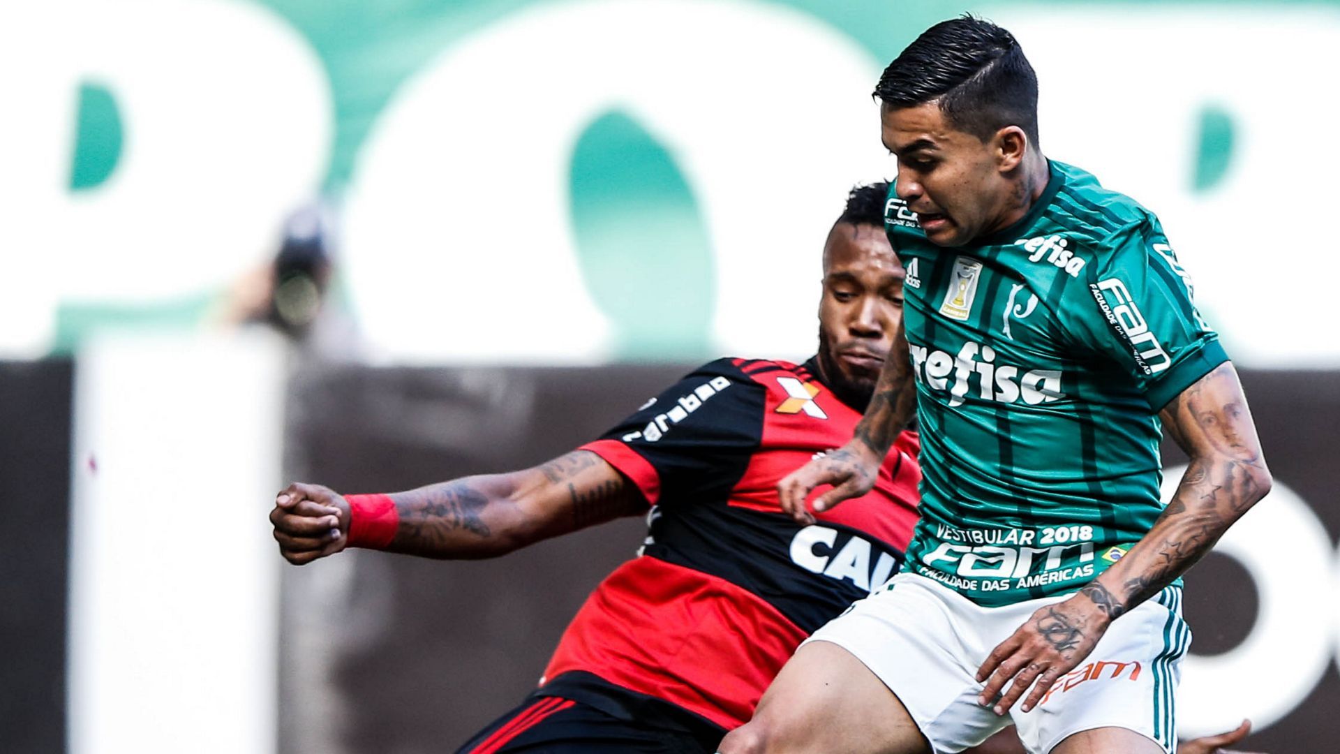 Rafael Vaz Dudu Palmeiras Flamengo Brasileirao Serie A 12112017