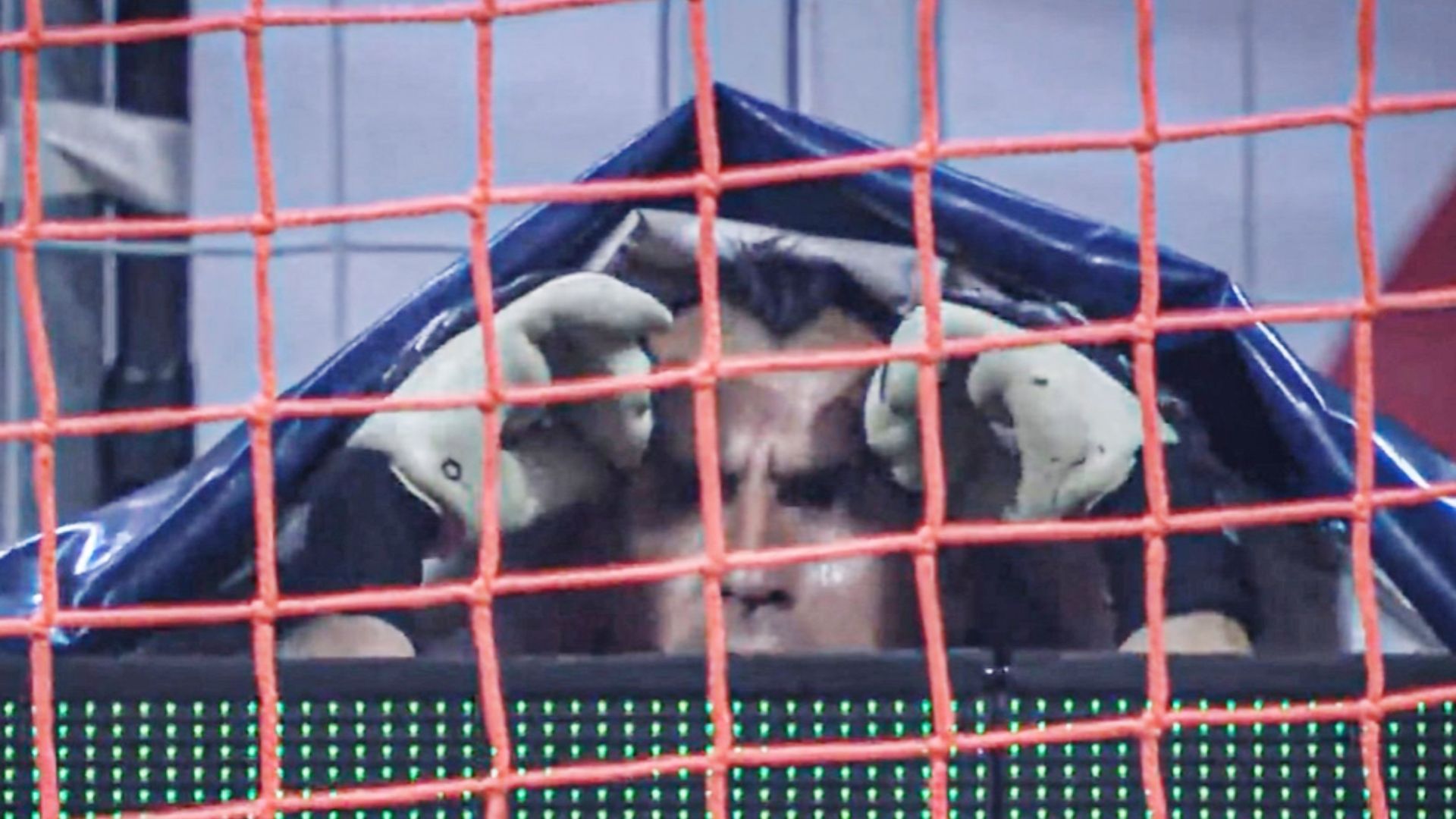 Guzman Club America Tigres