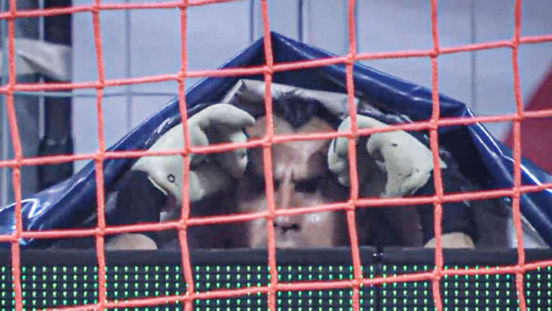 Guzman Club America Tigres