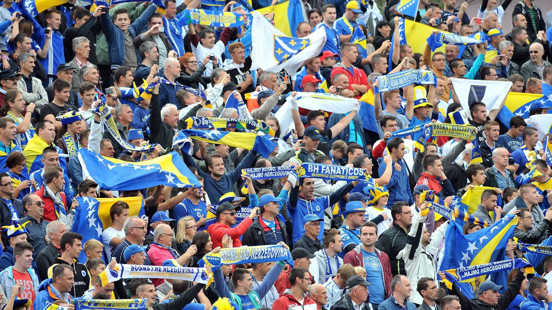 Bosnia fans