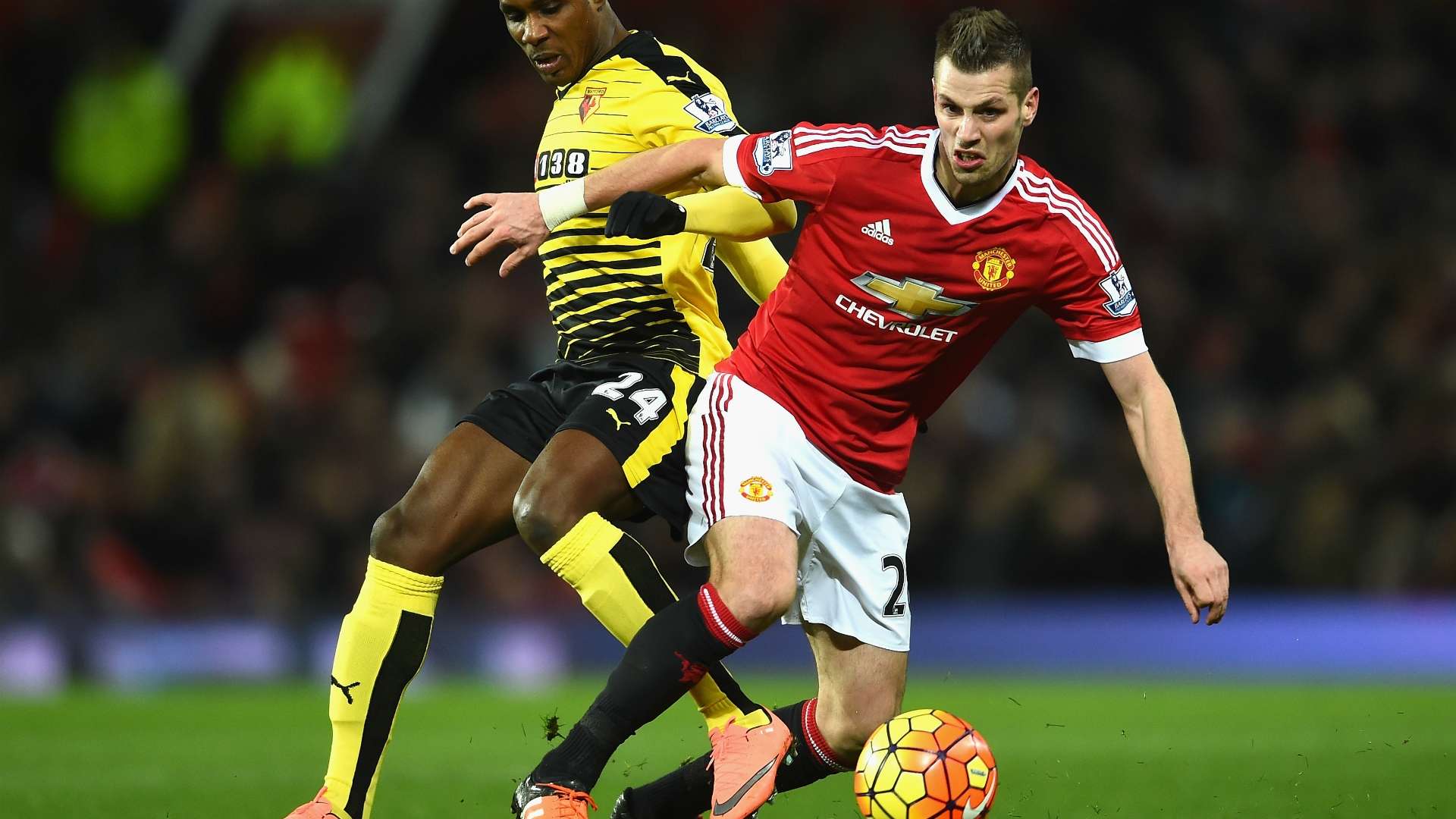 Morgan Schneiderlin Manchester United