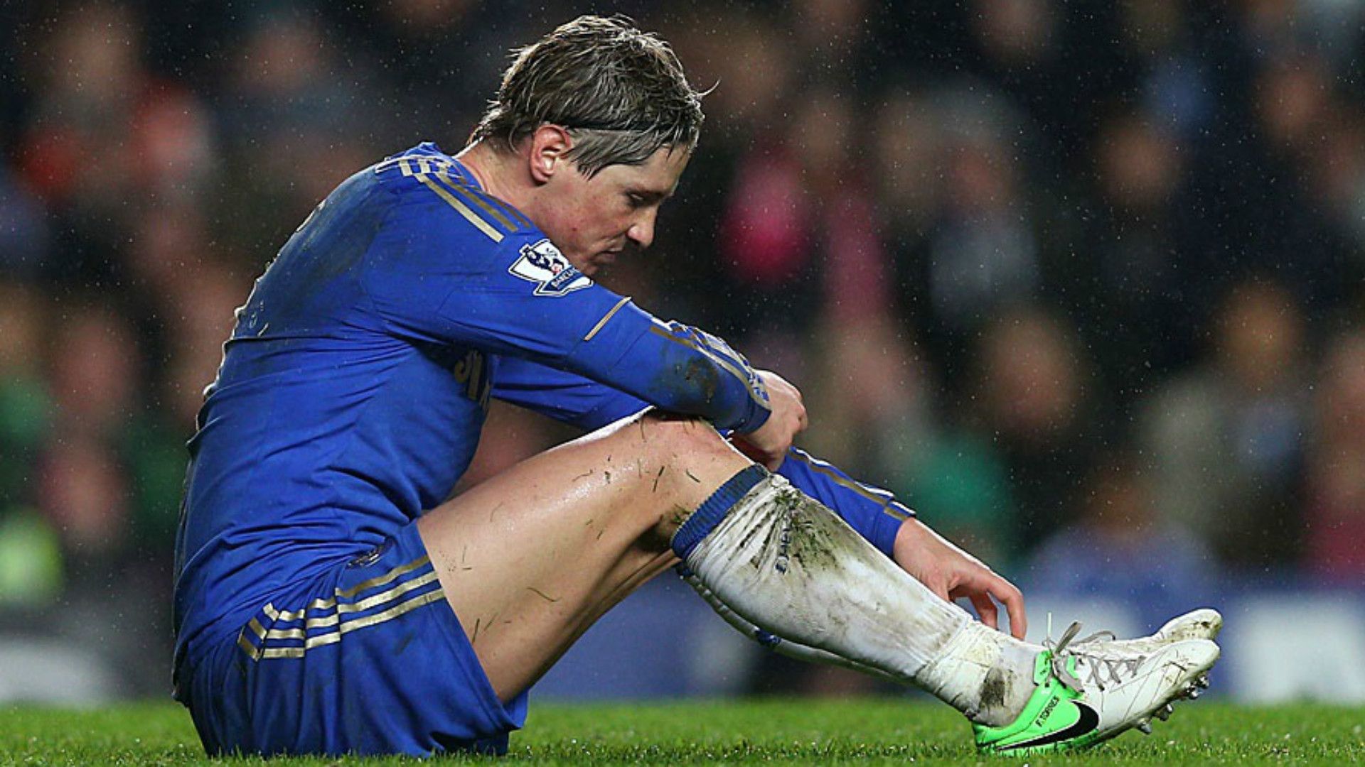 FERNANDO TORRES