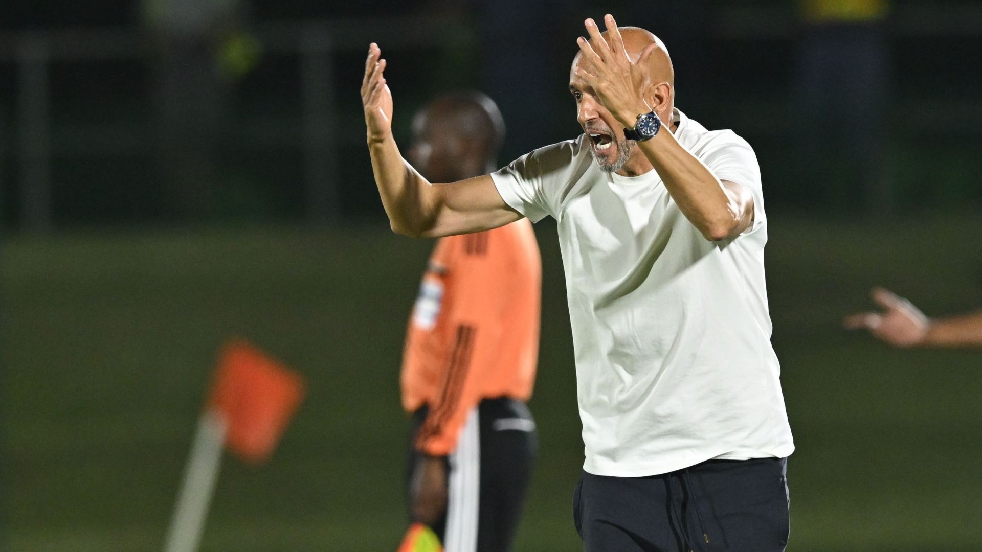 Miguel Cardoso, Mamelodi Sundowns