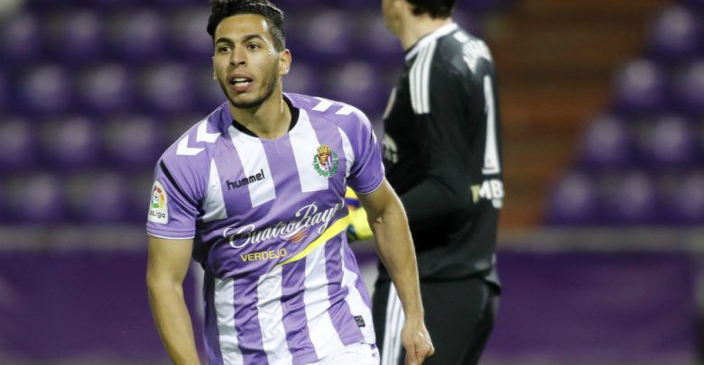 أنور التهامي