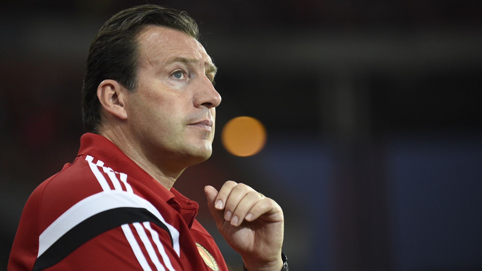Marc Wilmots Belgium