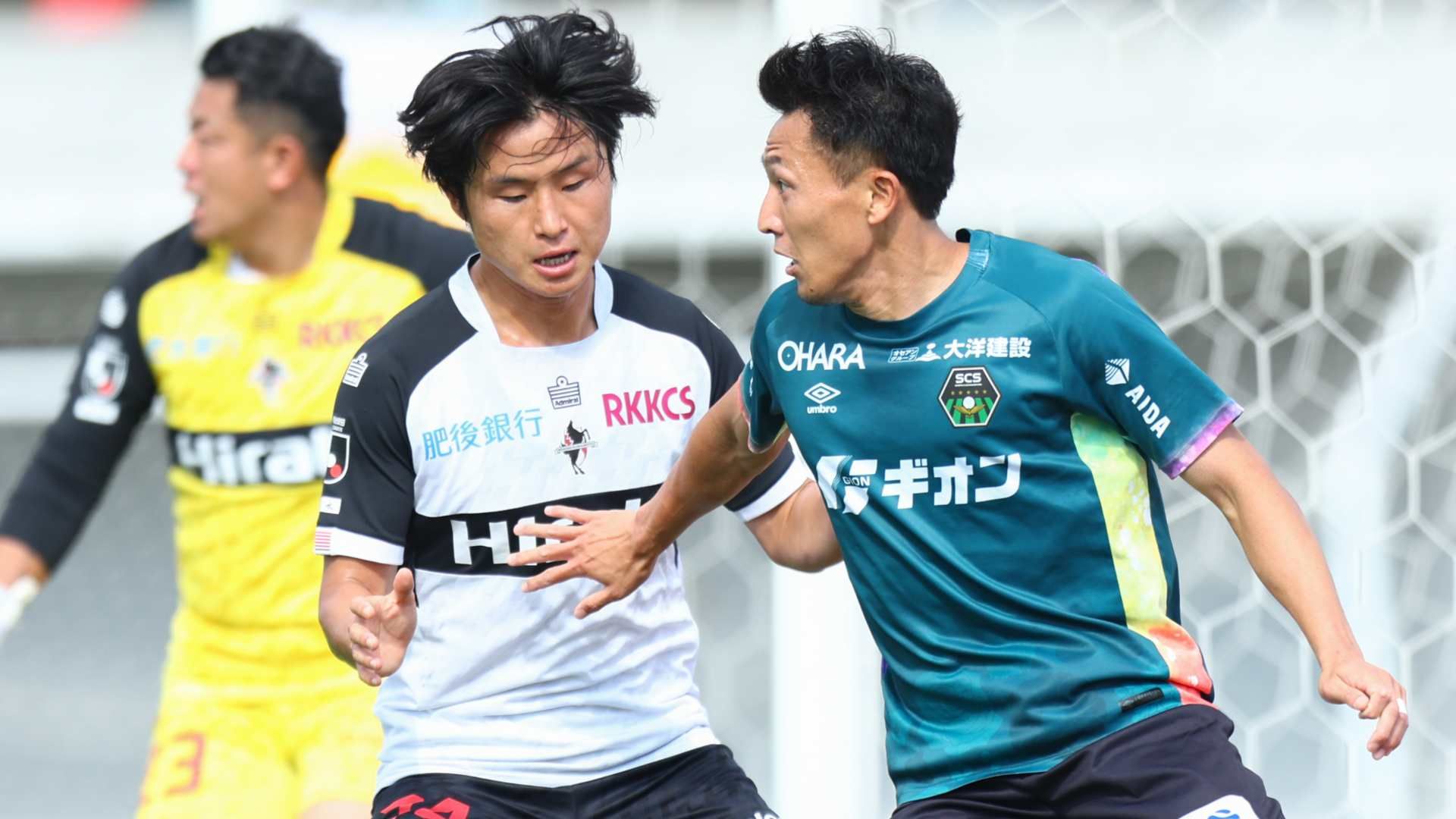 sagamihara kumamoto