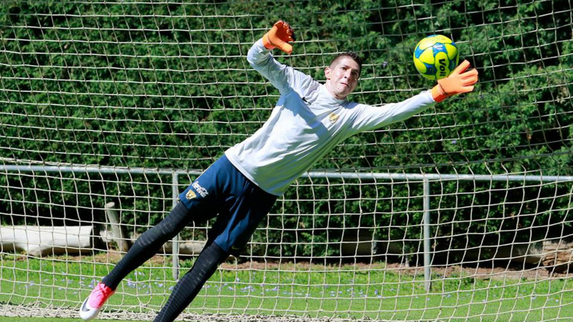 Alejandro Palacios Pumas