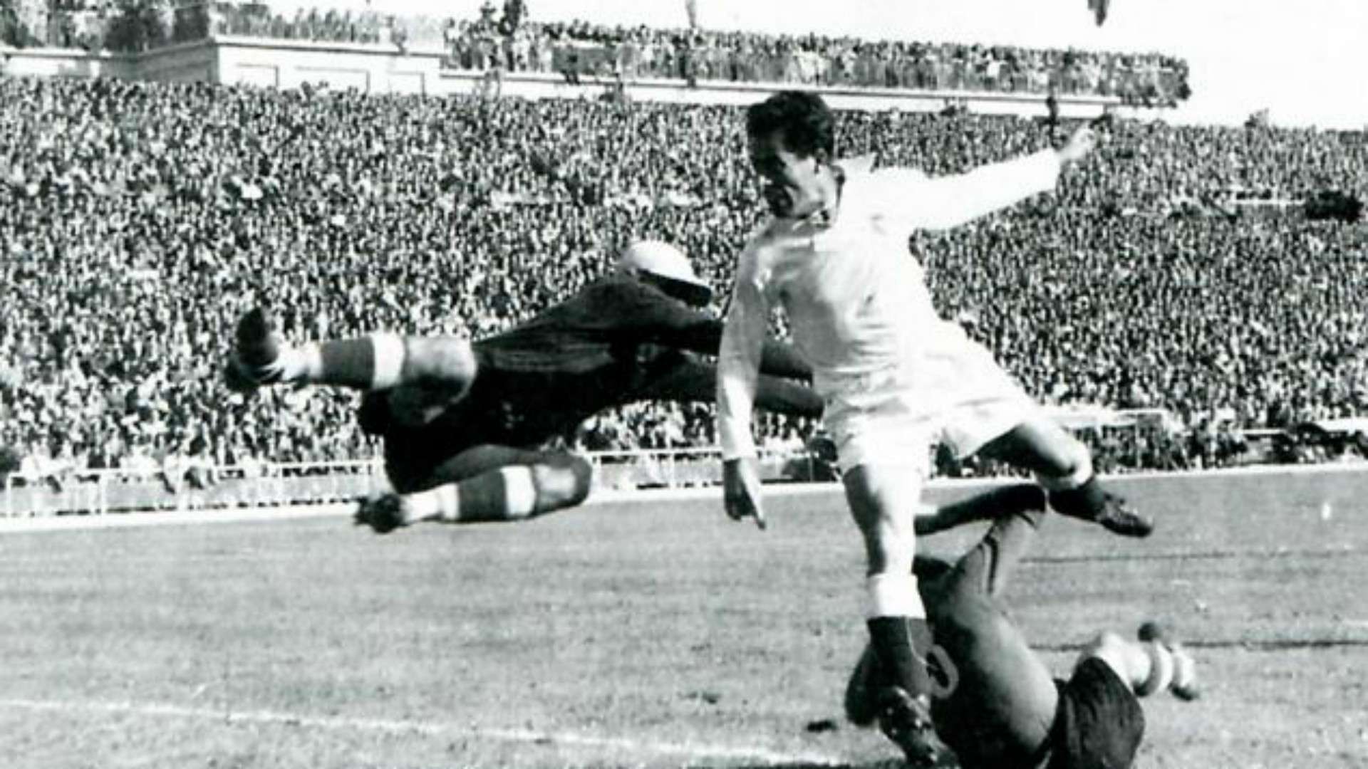 PAHINO REAL MADRID CLASSIC