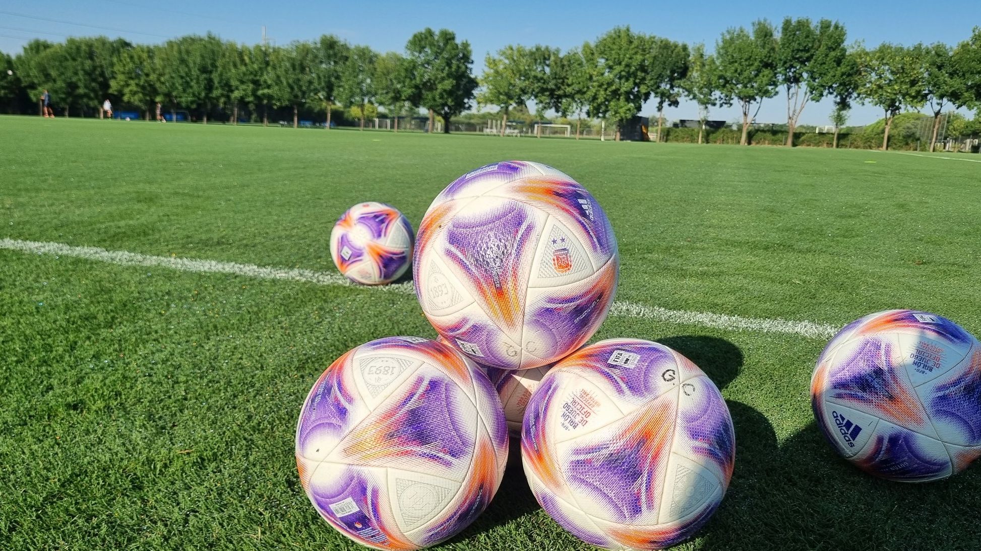 pelotas primera division futbol argentino 2023