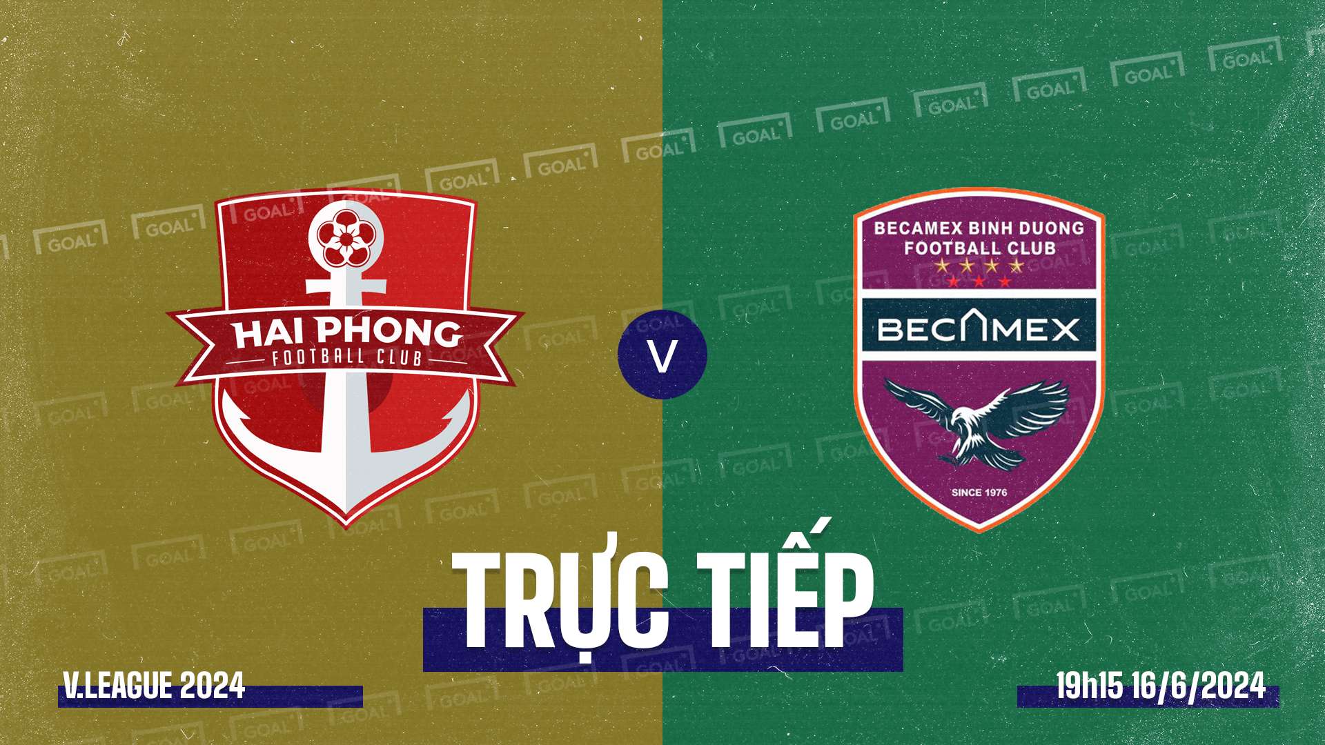 Hai Phong vs Binh Duong VLeague 2024 GFX