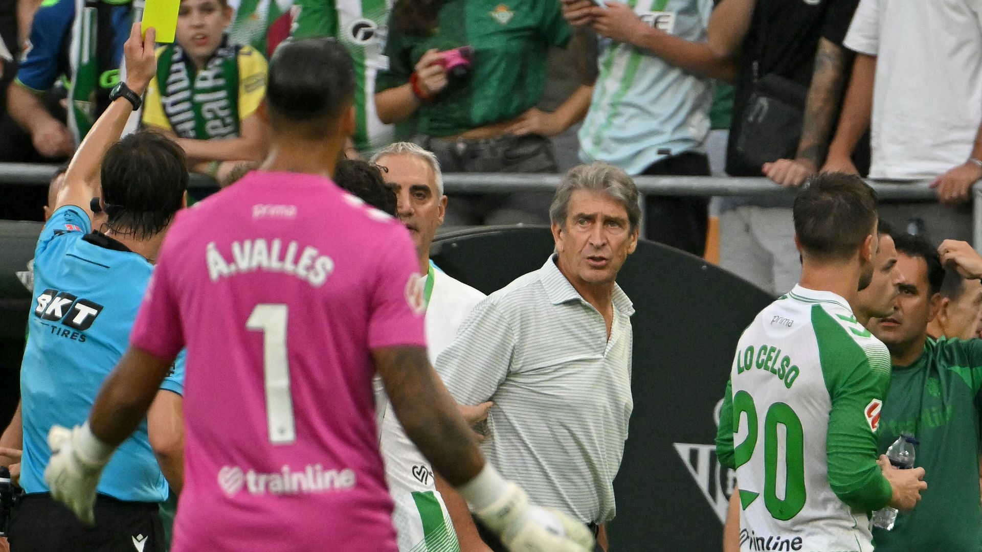 Manuel Pellegrini