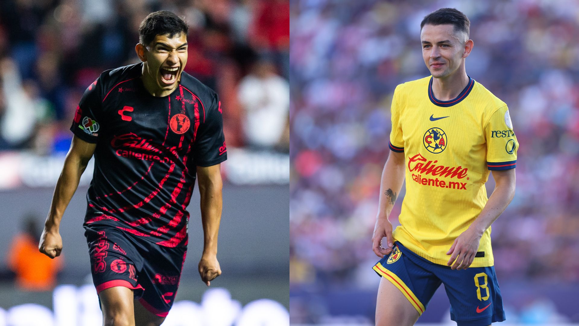 Xolos América Apertura 2024 Liga MX