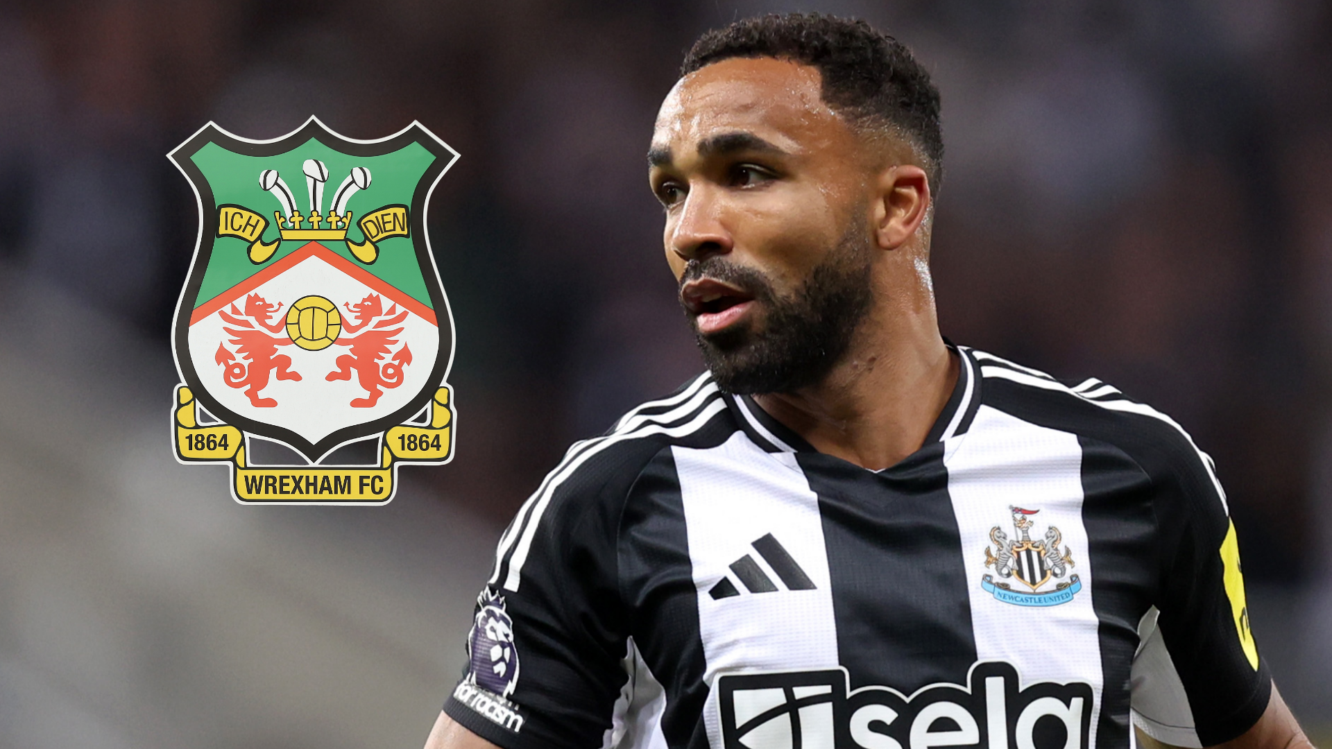 Callum Wilson to Wrexham?! Ryan Reynolds and Rob McElhenney told free agent Newcastle & England striker would be 'absolutely great signing' | Goal.com UK