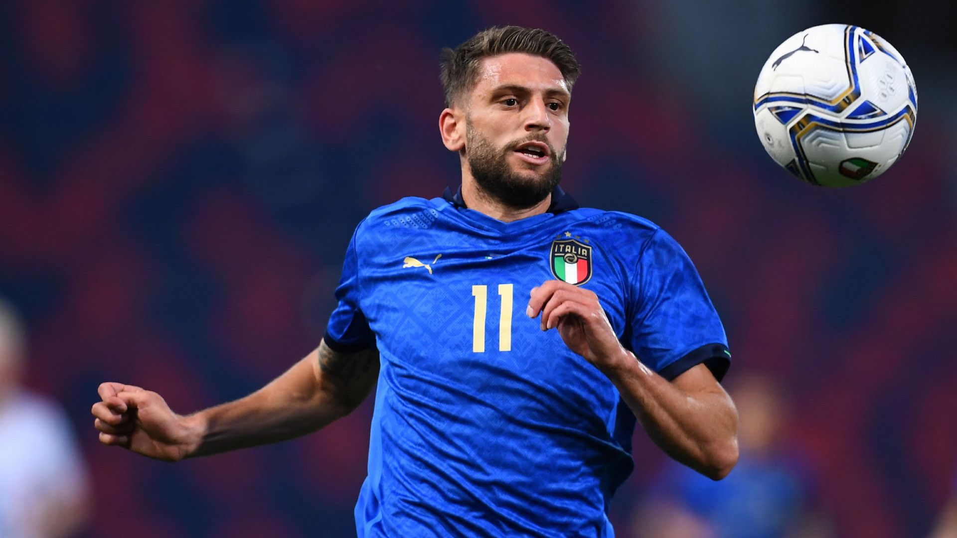 DOMENICO BERARDI ITALY