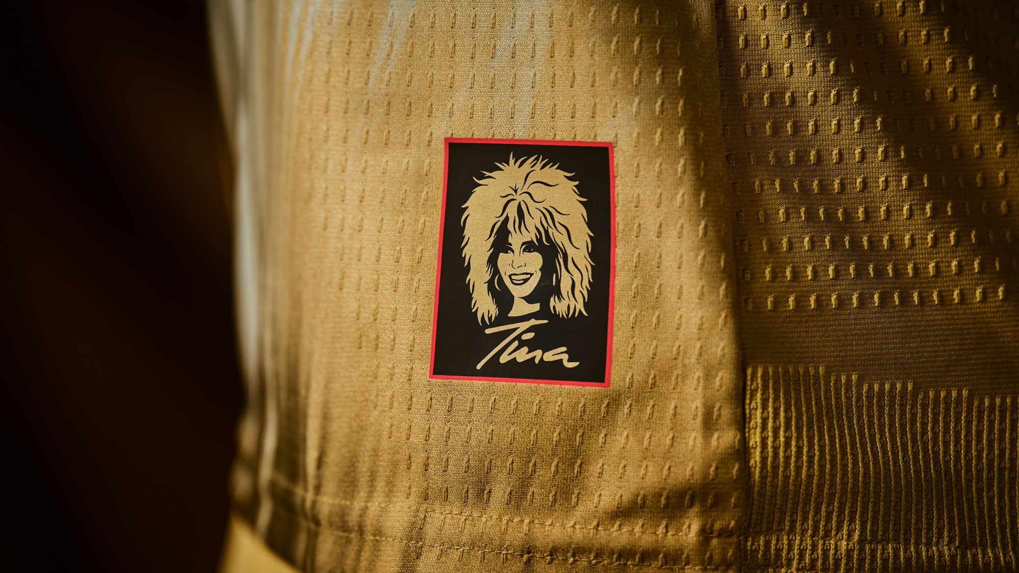 Tina Turner kit