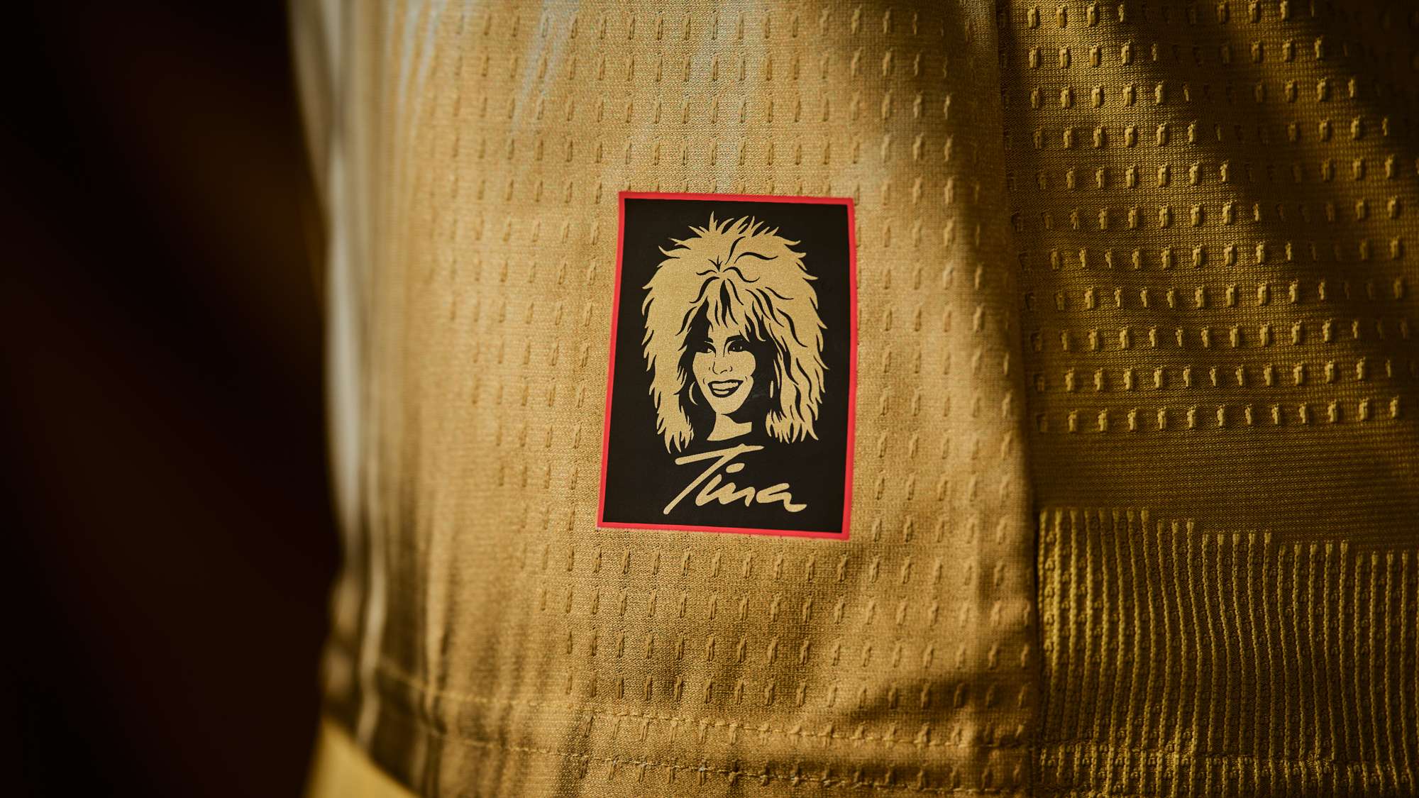 Tina Turner kit