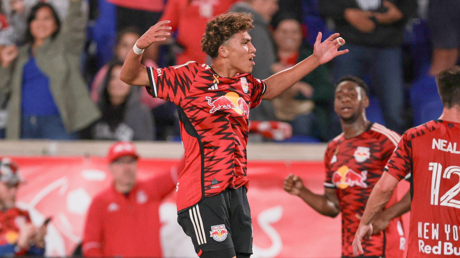 Julian Hall New York Red Bulls 2024