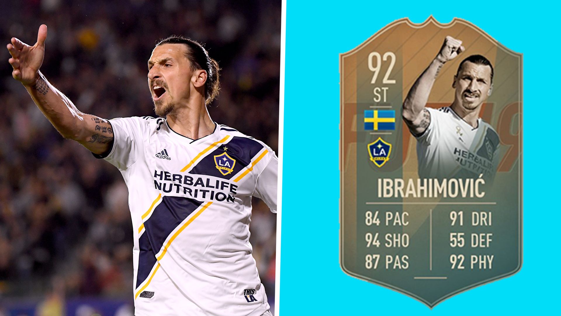 Zlatan Ibrahimovic FIFA GFX