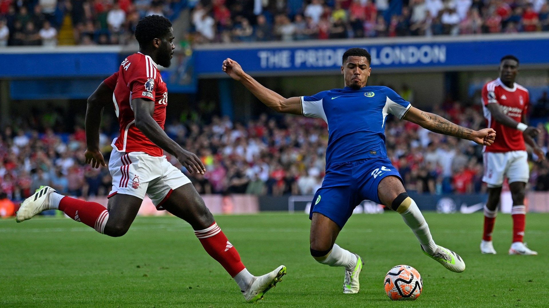 Levi Colwill Chelsea 2023-24